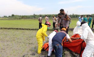 Jebakan Tikus, Solusi Instan Petani Sragen yang Renggut 22 Korban Jiwa