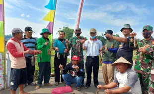 220 Hektare Sawah di Karanganyar Terserang Hama Tikus