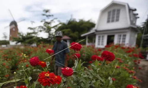 Ini 10 Cara Fengsui Atur Taman Rumah