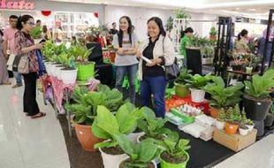 Pencinta Tanaman Hias Ayo Merapat, Solo Grand Mall Gelar Pameran