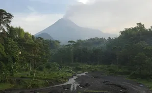 Merapi Pagi Tadi Gugurkan Lava ke Arah Kali Senowo