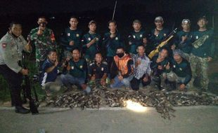 Bediler Sragen Kewalahan Penuhi Permintaan Basmi Tikus Sawah