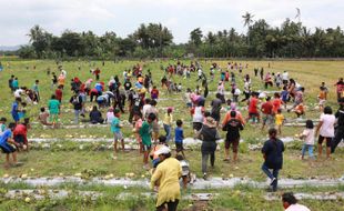 Kampanye Unik, Cabup Klaten Sri Mulyani Bagi-Bagi Melon di Sawah hingga Lomba Mancing