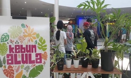 Suncity Madiun Gelar Expo Tanaman Hias, Harga Mulai Rp25.000 Sampai Rp4 Juta