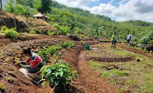 Pengelola Tempat Wisata di Wonogiri Boleh Buka, Asal…