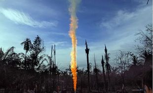 Tak Disangka! Sragen Punya 2 Lokasi Semburan Gas Rawa, Ini Lokasinya