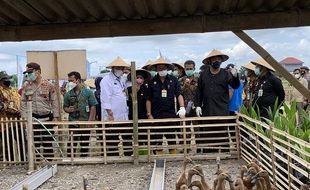 Mentan Yasin Limpo Ingin Ada Perkebunan Kelapa di Karanganyar