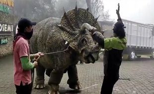 Cek! Ini Fakta di Balik Video Viral Dinosaurus Turun dari Truk & Ngamuk di Magetan