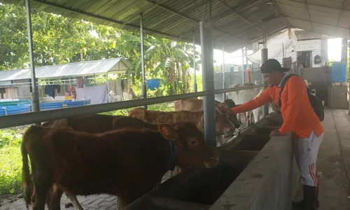 Kelompok Santri Tani Milenial, Upaya Regenerasi Petani di Jombang