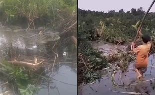 Bukannya Takut, Bocah-Bocah Ini Malah Mainan Buaya Muara