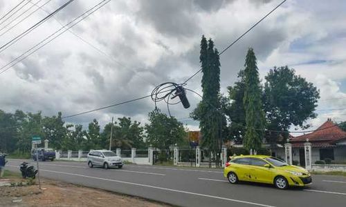 Awas! Ada Kabel Nglewer Dekat Patung Macan Selogiri Wonogiri, Warga Takut Ada Aliran Listriknya