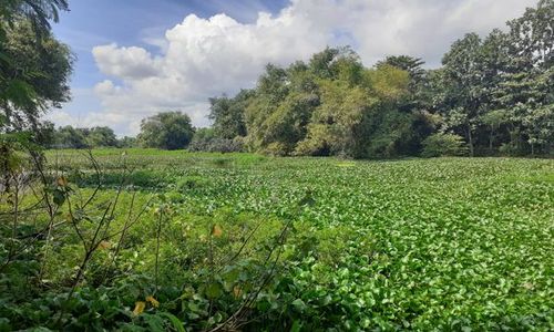 Akan Bangun Spot Wisata, Warga Sukoharjo Desak Normalisasi Kalimati