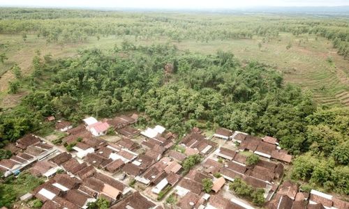 BPBD Madiun Ratakan Tebing di Lereng Wilis yang Nyaris Longsor