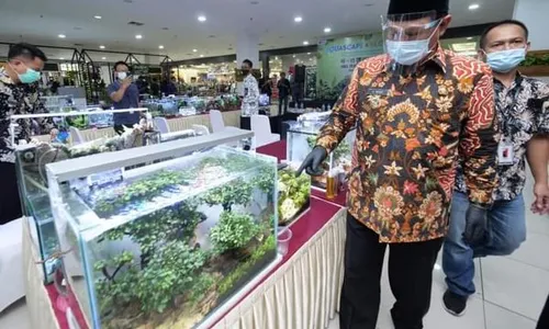 Segar dan Cantik, Pameran Tanaman Hias dan Aquascape di Plaza Madiun