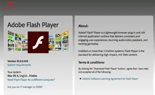 Nasib Adobe Flash Player Berakhir 12 Januari