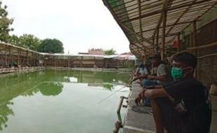 Girang di Kolam Pemancingan Ikan Boyolali saat Pandemi Covid-19