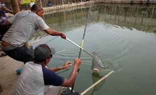 Hobi Memancing Ikan di Solo Tak Terusik Pagebluk Covid-19