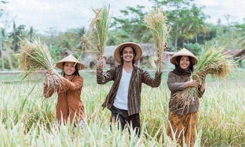 Hasil Sensus Penduduk 2020: Perempuan Lebih Banyak Dibanding Laki-Laki di 2 Provinsi Ini