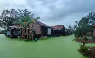 Heboh! Air Banjir di Pekalongan Warnanya Hijau, Kenapa Ya?