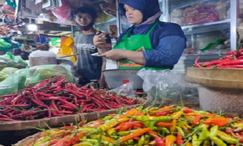 Magelang Punya Lahan Cabai Luas, Tapi Panennya Susah Diprediksi