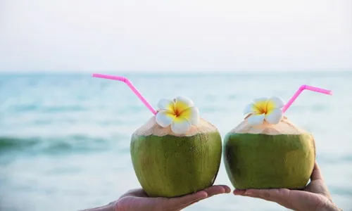 Segar dan Nikmat, Ini 5 Manfaat Minum Air Kelapa Muda Bagi Kesehatan