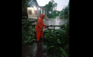 Hujan Disertai Angin Kencang Terjang 2 Kecamatan Di Sukoharjo