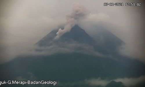 Merapi 14 Kali Gugurkan Lava Pijar dengan Jarak Luncur hingga 600 Meter