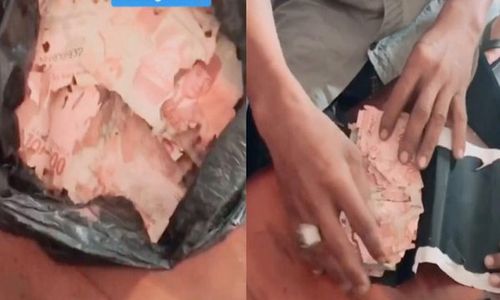 Video Viral Uang Rp15 Juta Dimakan Rayap, Ini Imbauan LPS