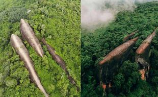 Mirip Tiga Paus Berenang di Hutan, Batu Purba Ini Viral