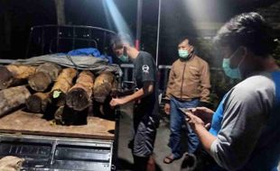 Tutupi Kayu Curian dengan Sekam Untuk Kelabui Polisi, Pembalak Liar di Ponorogo Akhirnya Terciduk Juga