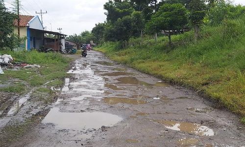 Nggak Cuma Jalan Solo-Purwodadi, 4 Jalan di Soloraya Ini juga Mirip Jeglongan Sewu