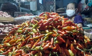 Wuidih...Di Madiun, Harga 1 Kg Cabai Setara 3 Kg Daging Ayam