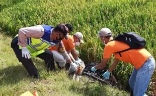 Pria Tua di Godong Ditemukan Tewas Dengan Muka Penuh Lumpur