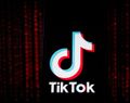 Simak Jadwal Terbaru FYP TikTok agar Kontenmu Banyak yang Nonton