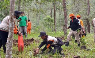 Sukarelawan di Lereng Lawu Tanam 2.000 Bibit Kopi Arabika, Ini Tujuannya