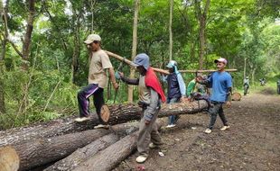 Warga Desa Tubokarto Wonogiri Minta Penebangan Pohon di Hutan Milik Perhutani Dihentikan