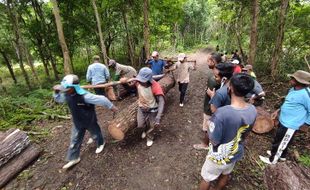 Warga Minta Penebangan Pohon di Tubokarto Wonogiri Dihentikan, Begini Tanggapan Perhutani