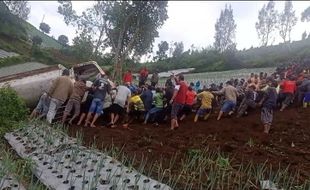 Diikat Tambang, Ratusan Orang Tarik Truk Terguling di Kebun Kol Jenawi Karanganyar