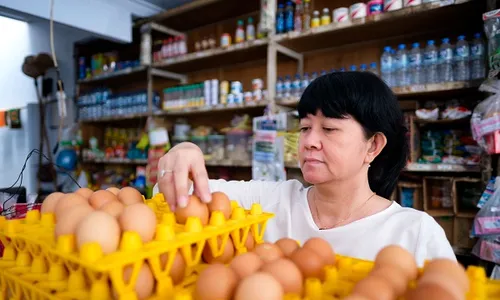 Siapkan Mental, Harga Daging Ayam dan Telur di Karanganyar Nanjak Terus