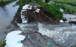 99,5 Hektare Sawah di Gantiwarno Klaten Terdampak Banjir