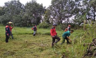 Berhari-Hari Warga Banaran Sukoharjo Diteror Ular, 3 Ekor Ditemukan Di Lapangan