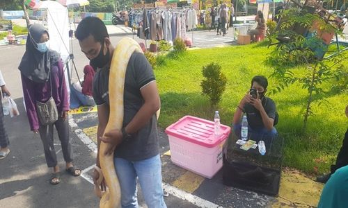 Terharu! Karyawan Taman Wisata di Madiun Ini Rela Panas-Panas Demi Beli Pakan Satwa