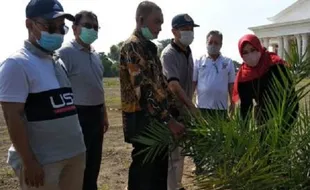 Ini Sebab 48 Pohon Kurma Ditanam di Kompleks Grha Megawati Klaten