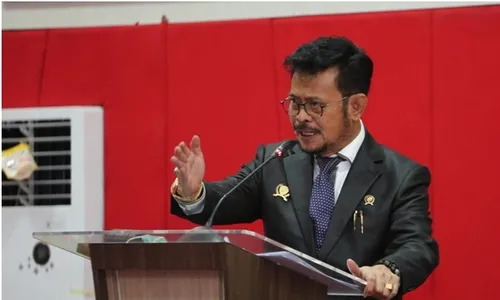 Harga Beras Naik di Tingkat Konsumen, Menteri Pertanian Minta Rakyat Maklum