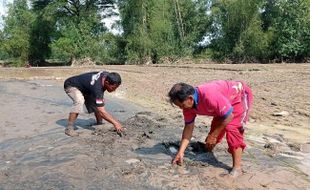 Banjir Bandang di Magetan Rusak Sawah, Kasihan Petani Merugi