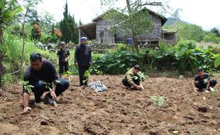 Tanam Ribuan Bibit Kopi, Petani Sidorejo Klaten Kembangkan Pertanian Kopi Organik