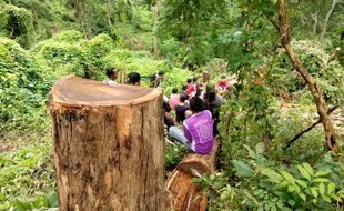 20 Pohon Ditebang, Pelaku Illegal Logging di Wisata Batu Seribu Sukoharjo Belum Ketemu