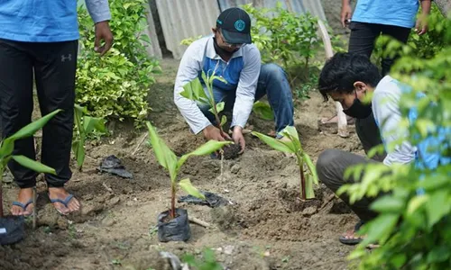 KKN di Desa Dukuh Sragen, Mahasiswa UNS Gagas Apotek Hidup