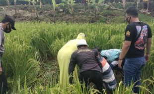 Petani Selogiri Wonogiri Ditemukan Meninggal Dunia di Sawah