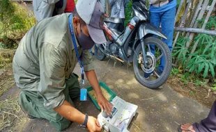 Penyerapan Bulog Dongkrak Harga Gabah Petani di MT I